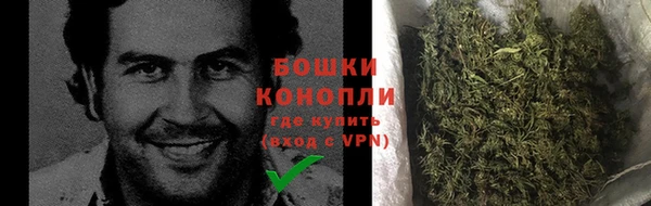сатива Арсеньев