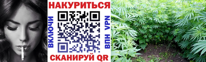 дарнет шоп нарко площадка как зайти Канабис SATIVA & INDICA Магас